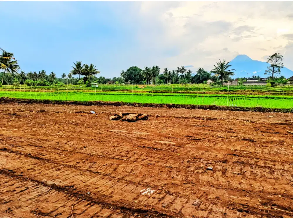Di Jual Tana Di Pandowoharjo Dekat Jalan Magelang