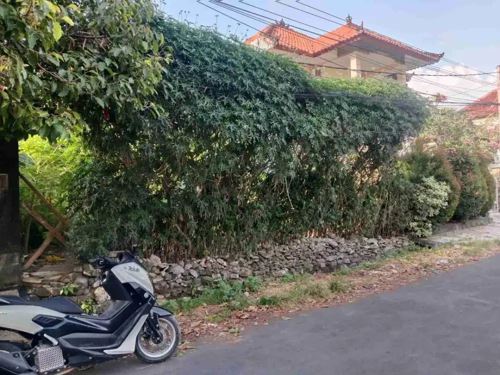 DIJUAL TANAH LANGKA LOKASI JALAN TUKAD BADUNG RENON
