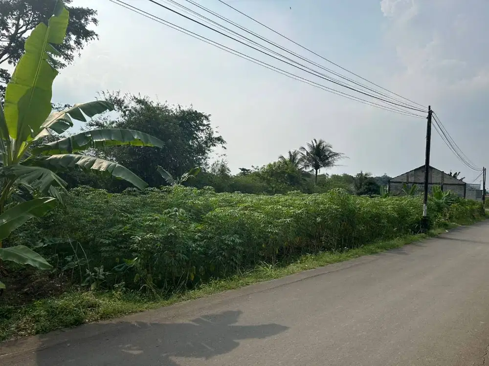 Tanah di pinggir Jalan cocok untuk perumahan atau gudang