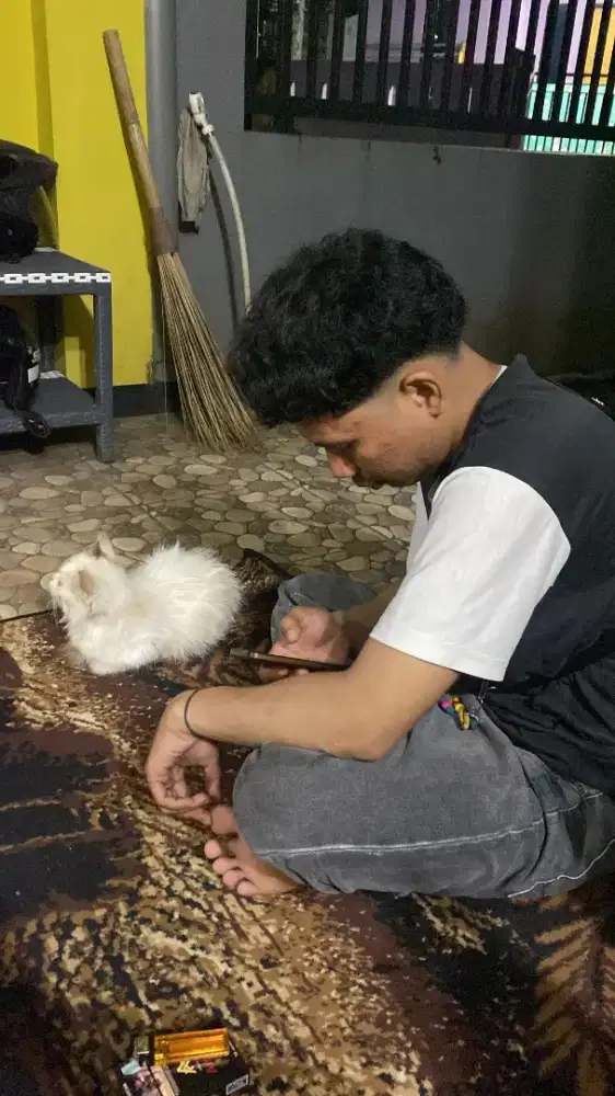 Inpo loker apa saja kak