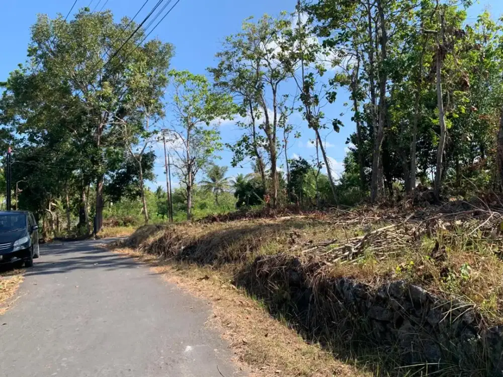Tanah Murah Sleman ; Dekat Tol Gamping Area Perumahan Balecatur  , Nego Pemilik
