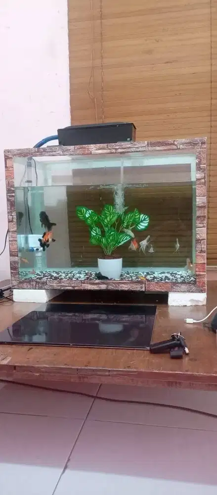 Aquarium fulset ikannya 70x40x50