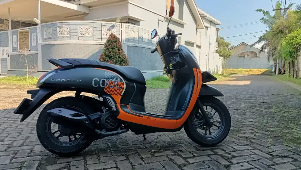Scoopy 2022 kontak