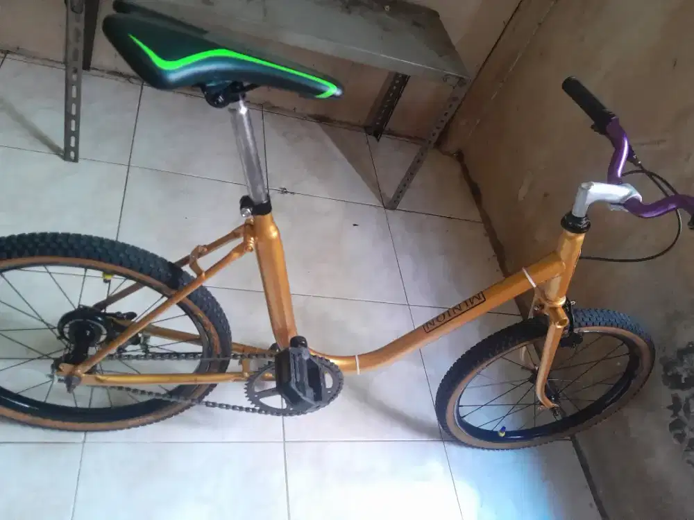 Sepeda minion phonik 20 inci