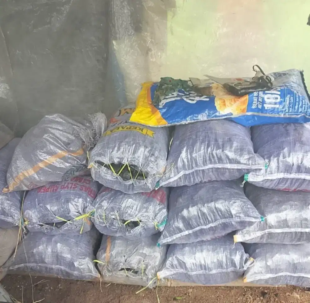 Jual arang kayu