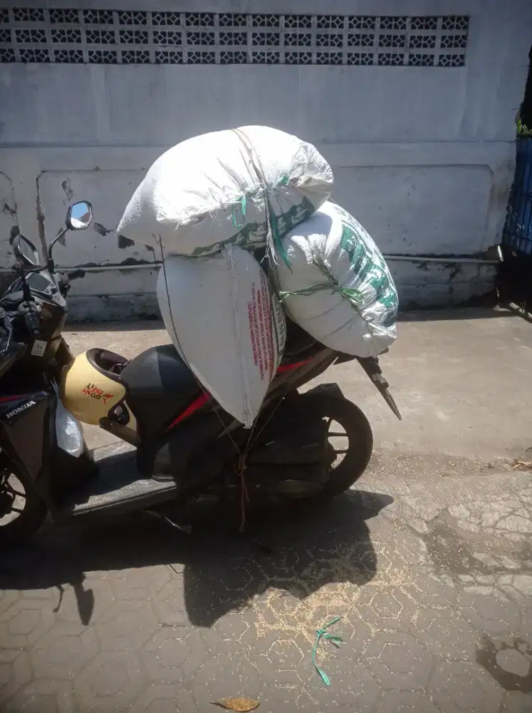 Sekam pagi atau gabah