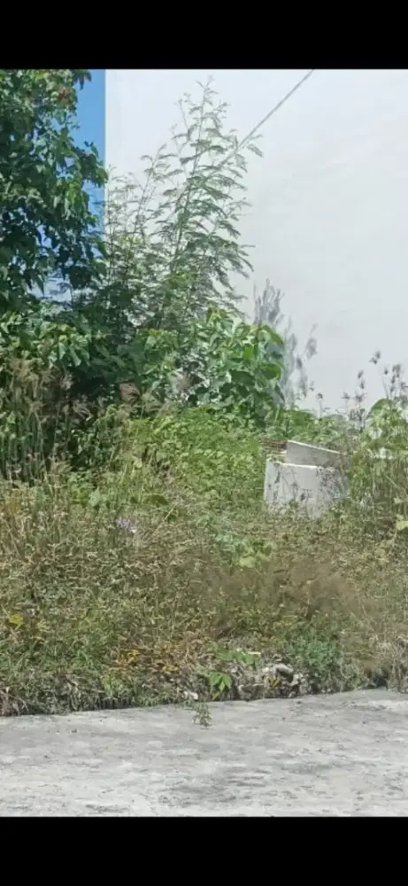 Di jual tanah jalan Kutat Lestari , Sanur, DPS, Bali