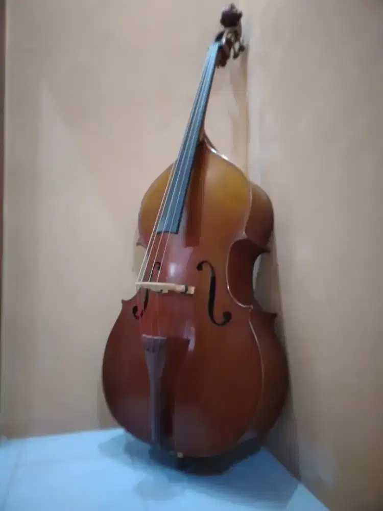 CONTRA BASS / DOUBLE BASS