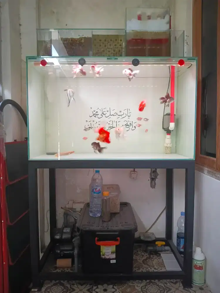 Aquarium Fullset 100x50x60