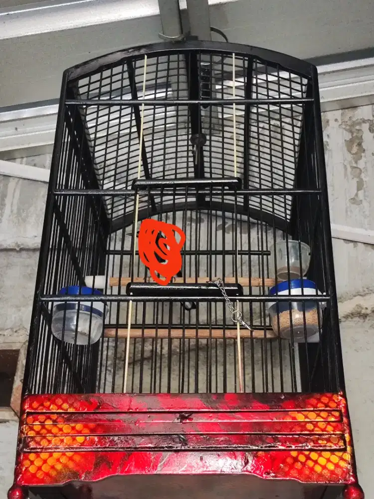 Sangkar Burung No.3 Kinclong
