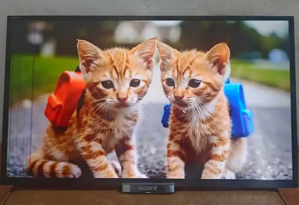 Sony Bravia 32 smart digital