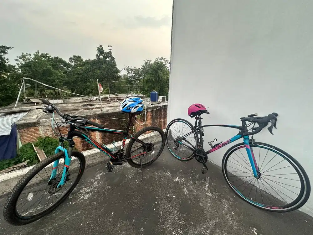 Paket Sepeda Polygon Divine R5 dan Polygon Monarch M5 (Bonus Helm)