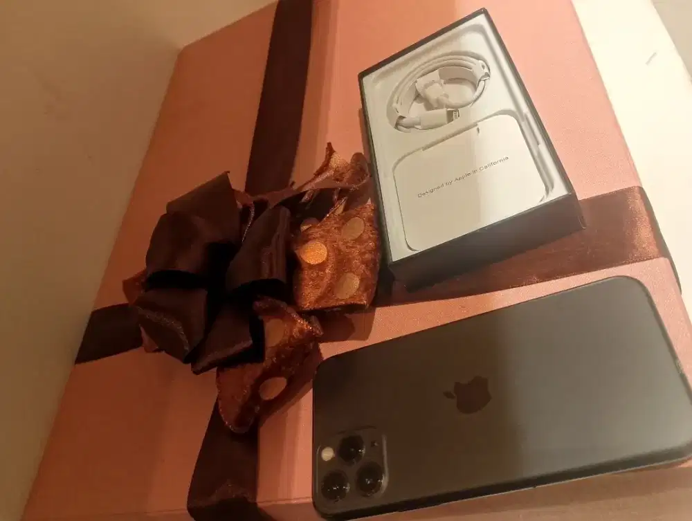 Iphone 11 pro 256gb ssmakin di depan baru