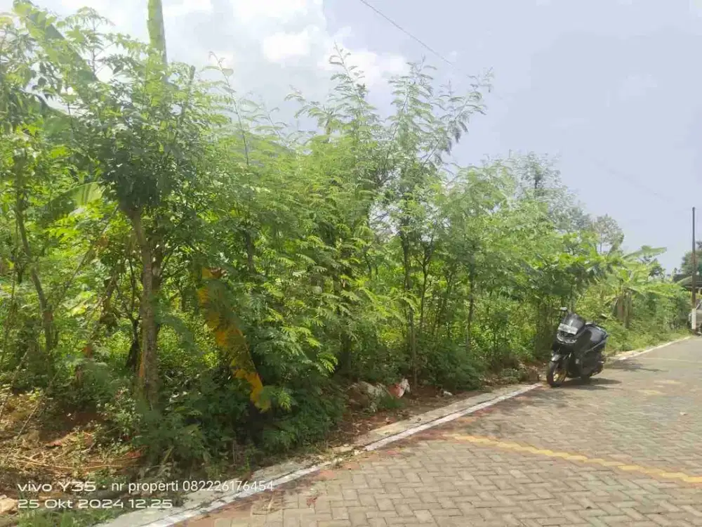tanah dekat undip tembalang bulusan selatan