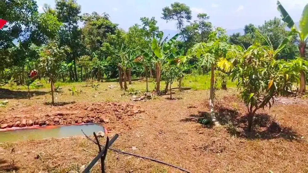 Jual Tanah Kebun 3200m2 di daerah bukit Sukajaya, Jonggol, Bogor Timur