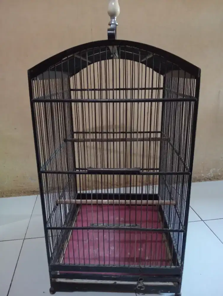 Kandang kotak no2 d jual aj