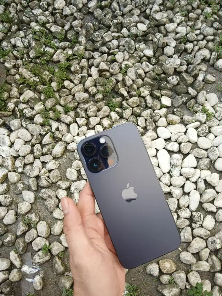 14 PROMAX 256 GB ex iBox