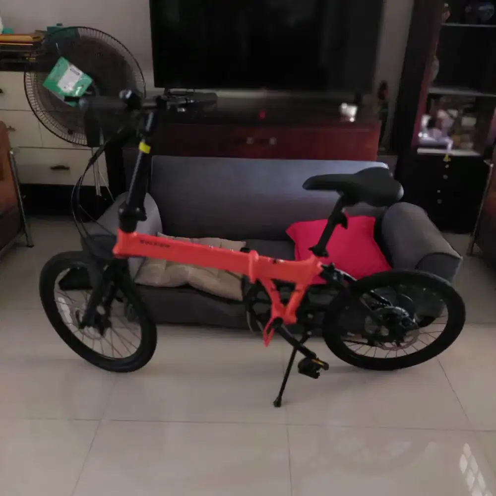 Sepeda Lipat Merek RALEIGH Tipe Manchester 20 inch