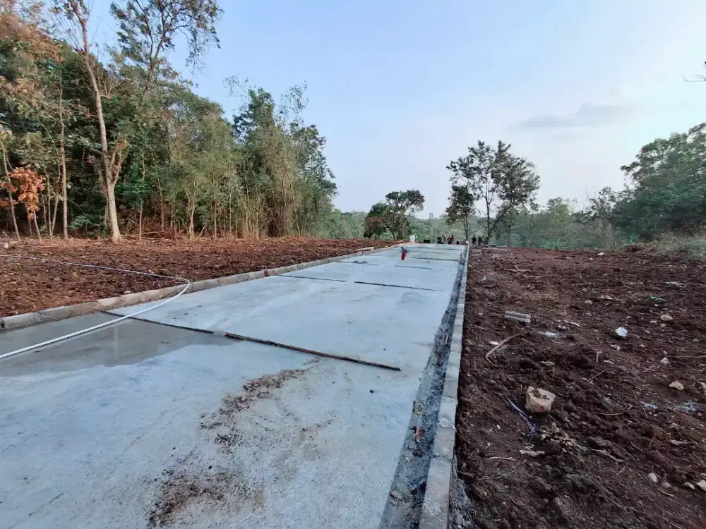 Tanah murah sepat depan kelurahan