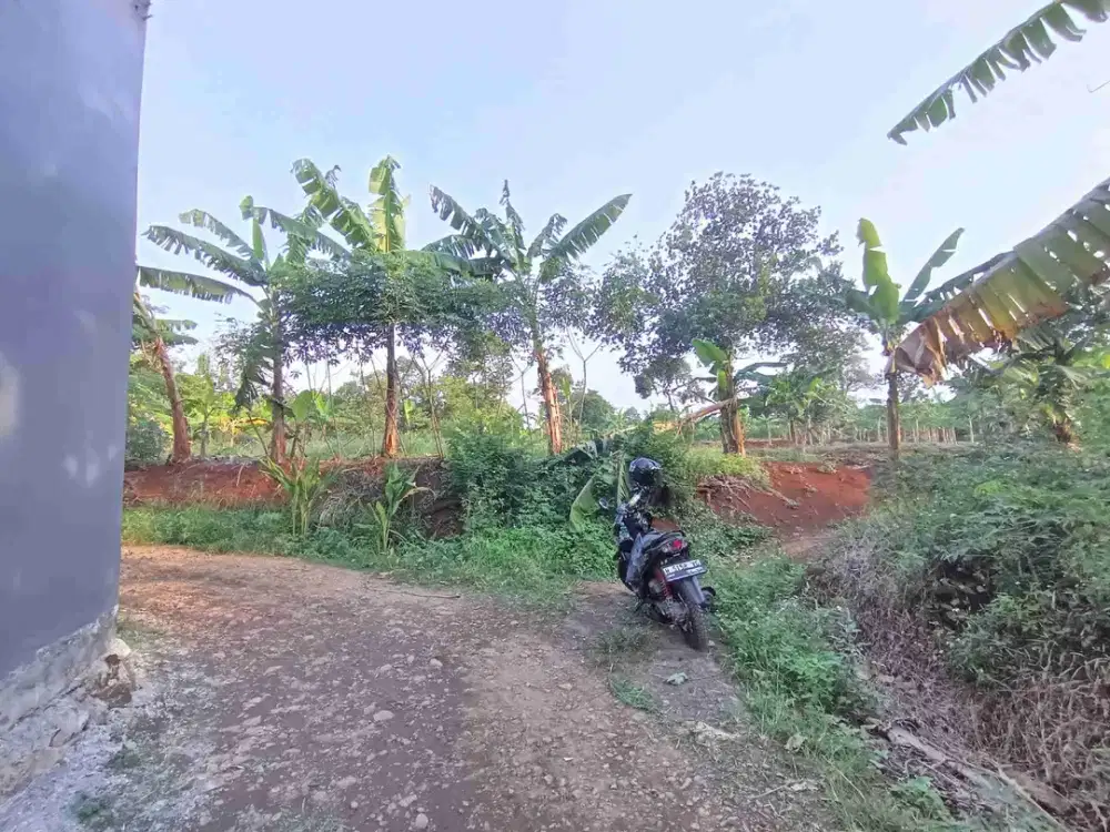 JUAL CEPAT ,TANAH MURAH,SHM,SIAP BANGUN DEKAT KAMPUS UNDIP