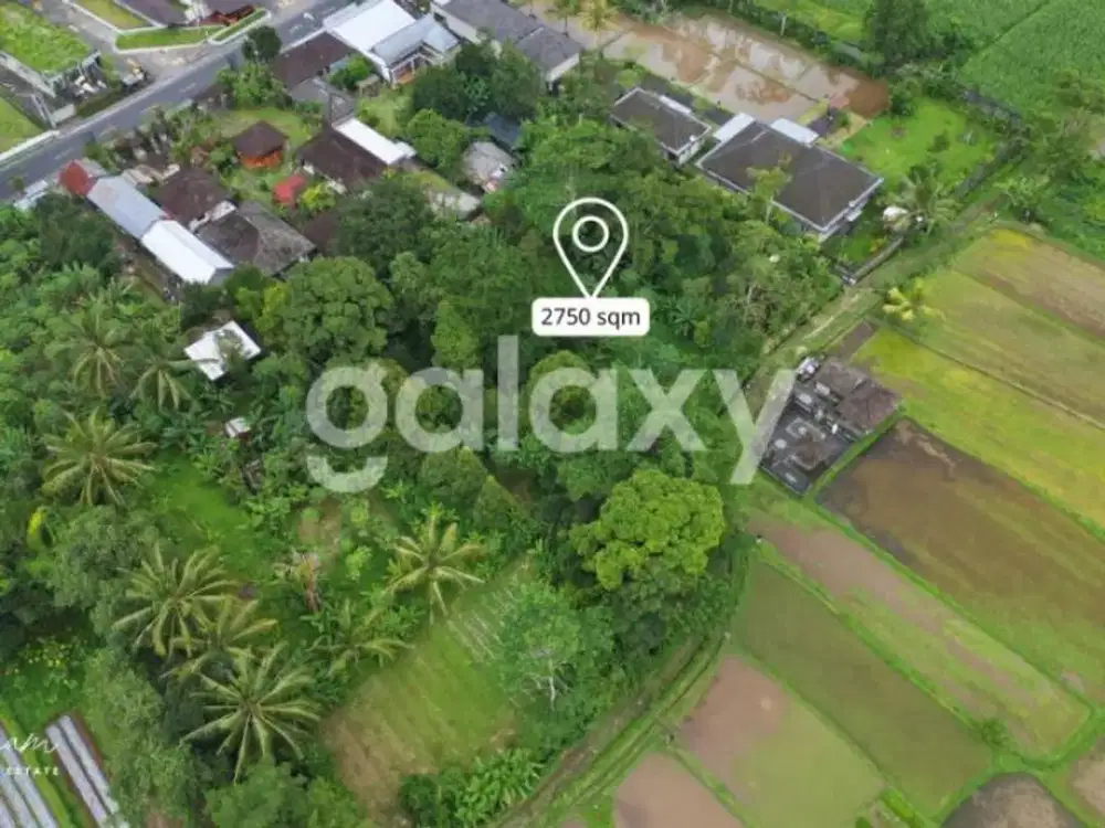 TANAH VIEW SAWAH DI LUWUS BATURITI BEDUGUL TABANAN, BALI