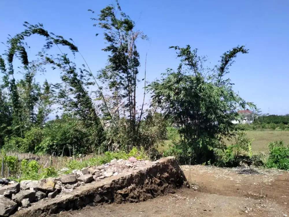 Tanah Murah Area Joyoagung dekat Kampus UB, UIN, ITN