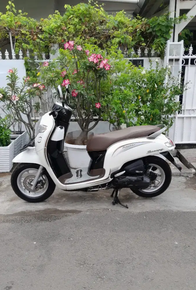Honda Scoopy  Stylish Cbs iss