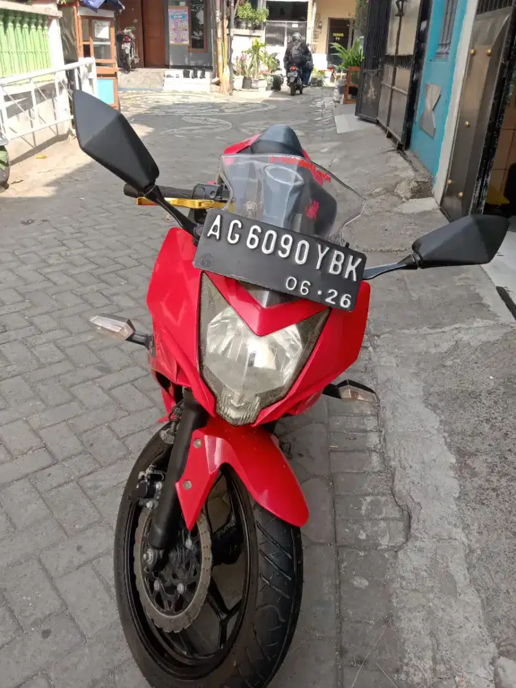 Ninja RR 250 Mono