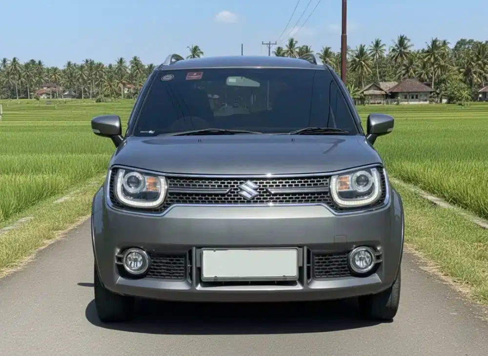 Suzuki Ignis 1.2 GX MT
Tahun : 2019