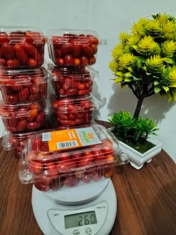Tomat Chery (Tomcher)