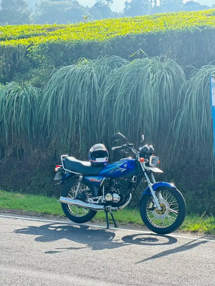 yamaha rxking 2001