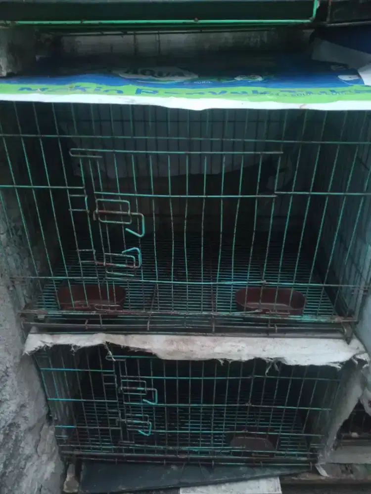 Di jual kandang