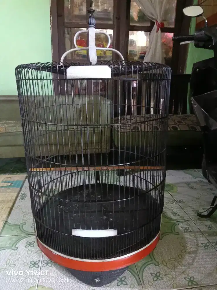Kandang murai no 1 bekas