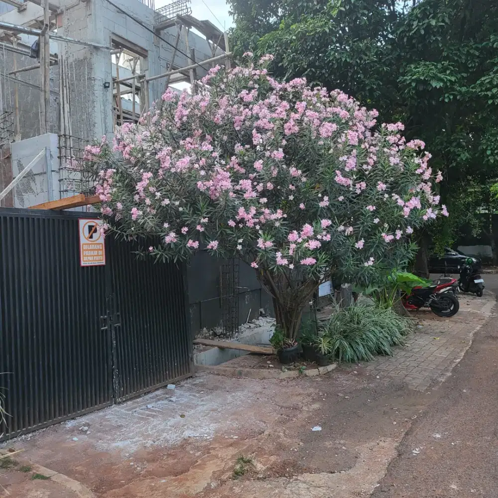 Lowongan kerja laundry wanita menginap