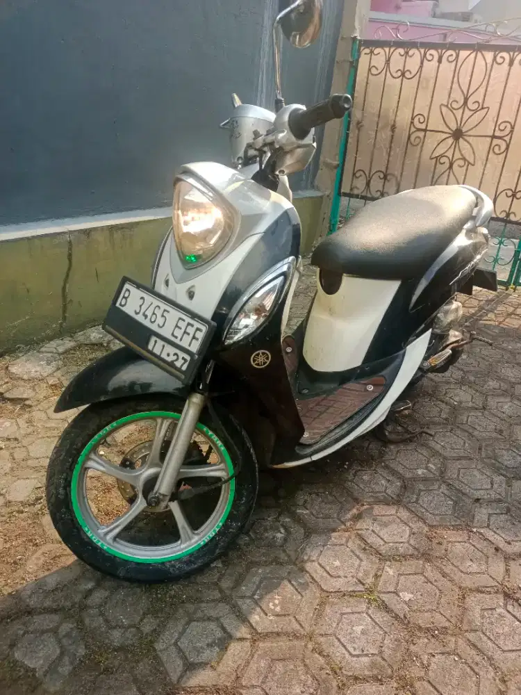 Fino Grande 2014