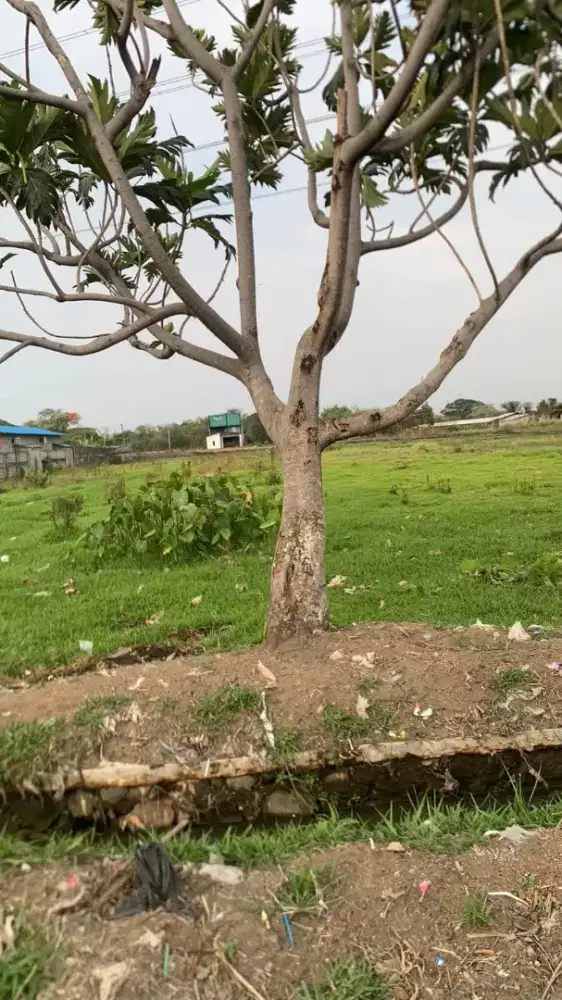 Jual tanah SHM tanpa perantara