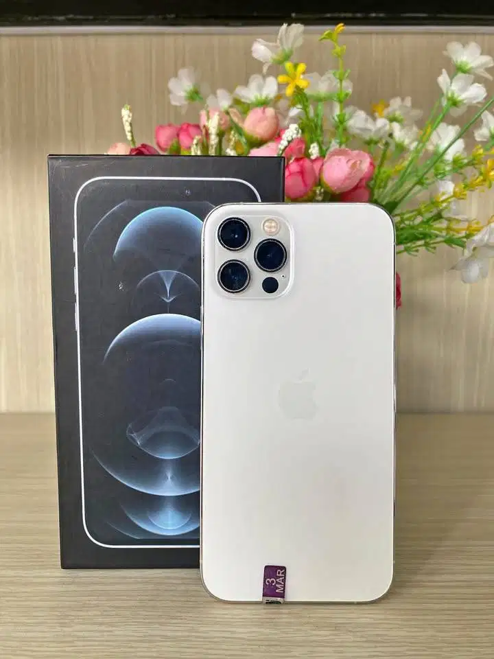 iPhone 12 Pro 256GB Terawat Ex Inter Bea Cukai | Fullset Mulus