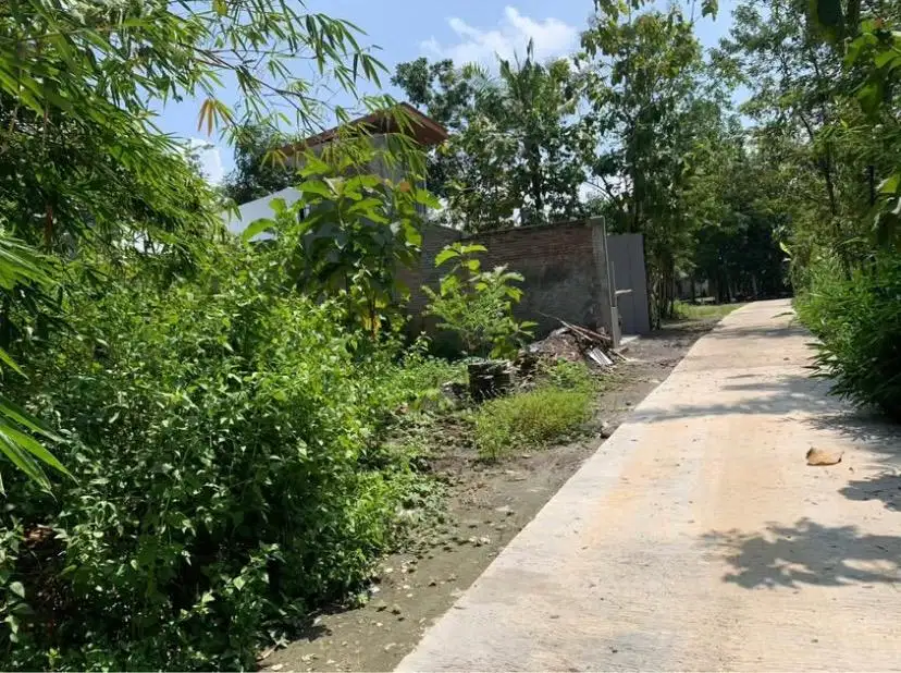 Di Jual Tanah Pekarangan (BONUS FREE DESAIN - LIHAT SLIDE AKHIR)