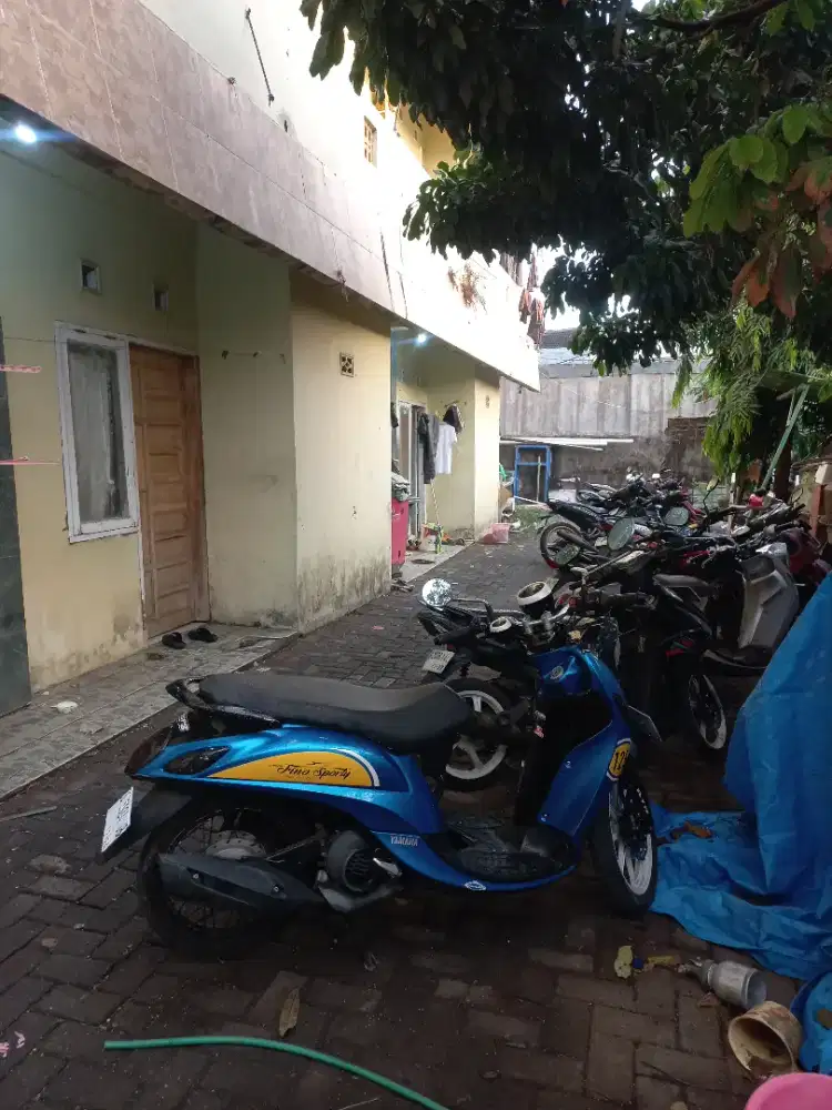 Fino 2019 asli tangan pertama