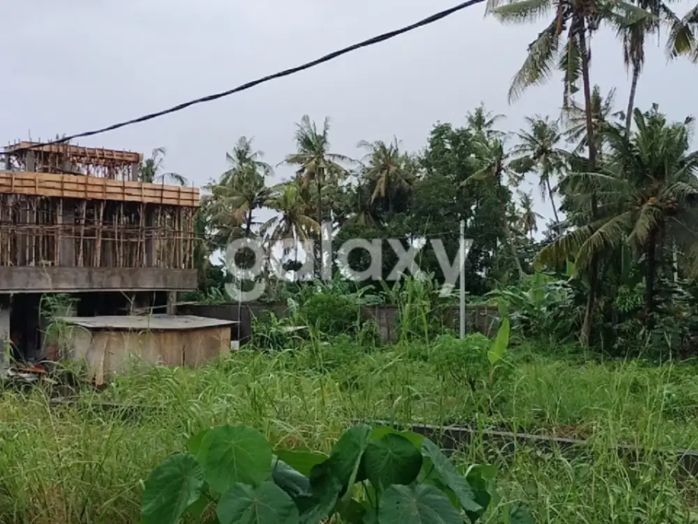 TANAH KAVLING KAWASAN VILLA DI PURA ANYAR DESA SABA BLAHBATUH GIANYAR, BALI
