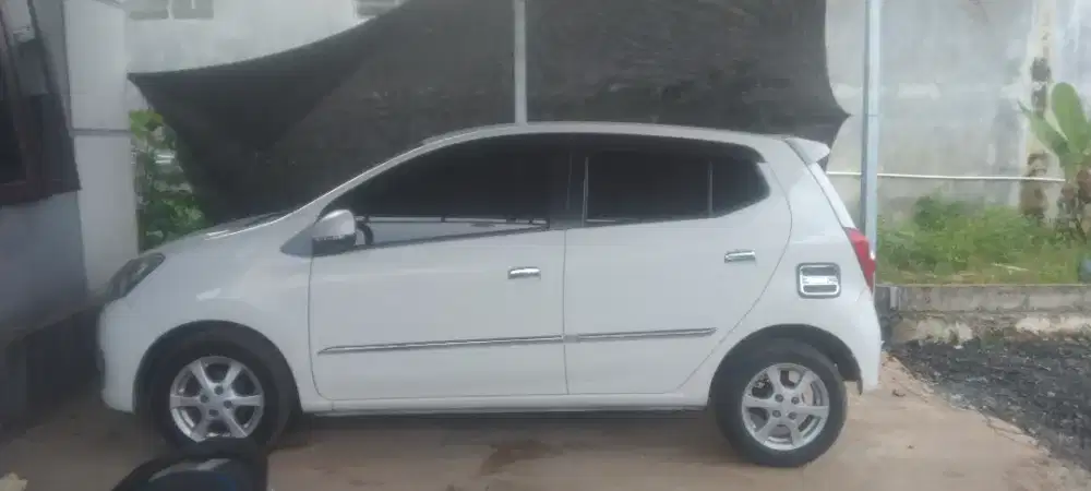 Ayla x 1.0 metic