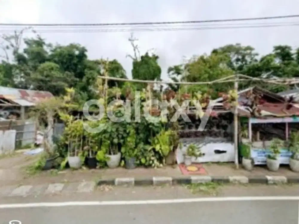 TANAH DI KEBUN RAYA BEDUGUL CANDI KUNING BATURITI TABANAN, BALI
