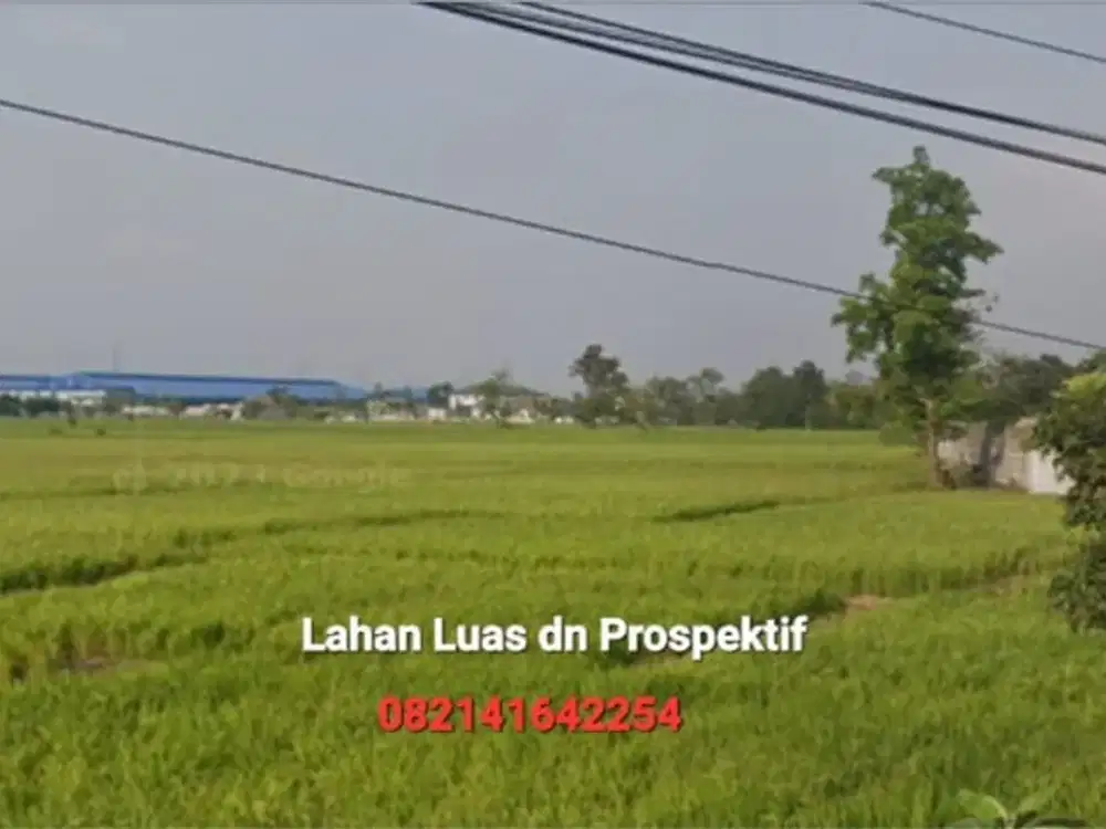 [L] Tanah Berkelas LD 145 mtr, dpn Exit TOL Caruban MADIUN, Kawasan Peruntukan Industri