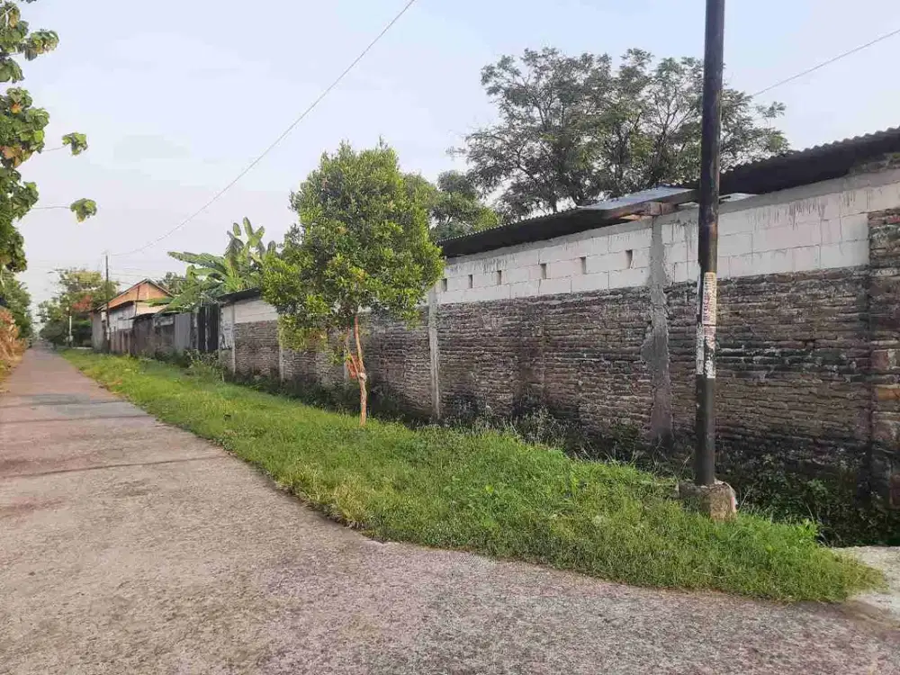 Lahan Ex Ternak Kambing sdh ada Bangunan siap Pakai