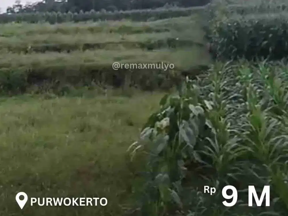 Dijual Tanah Luas Lokasi Strategis Area Purwokerto