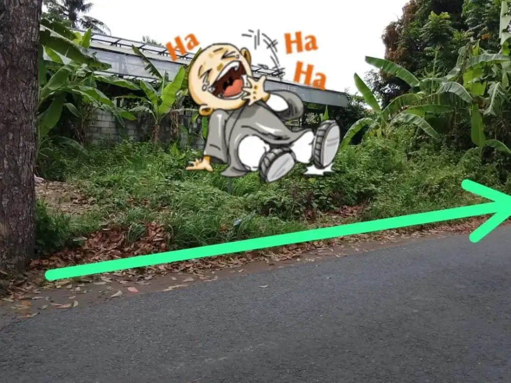 Tanah Pekarangan 2 Unit Dalam Ringroad Kasihan Bantul#Kode : TP 163