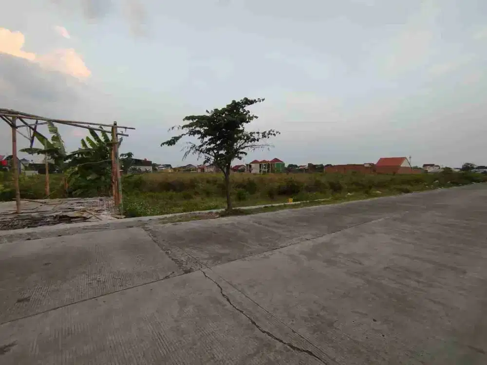 Tanah Dijual Di Padokan Sawahan Ngemplak Boyolali