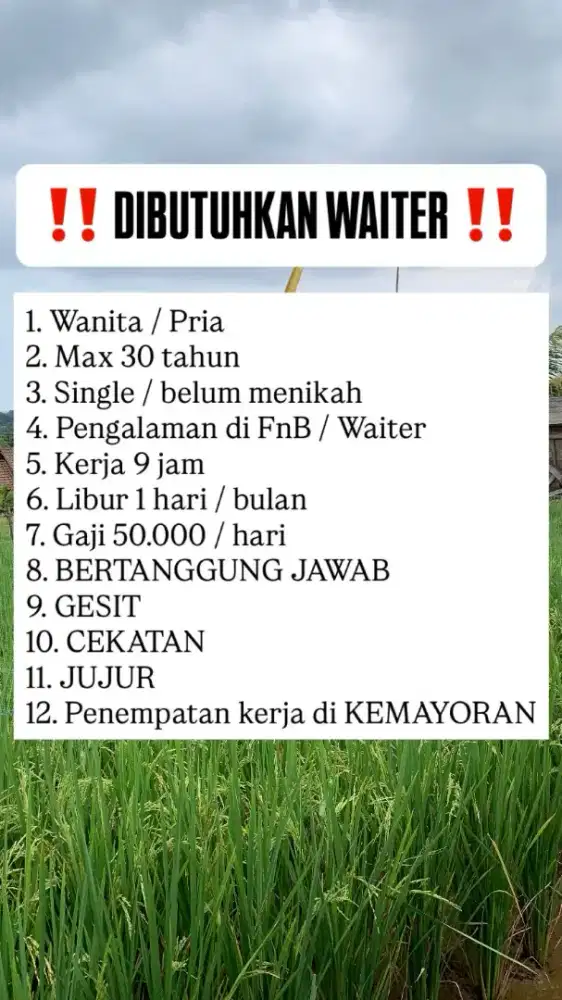 DICARI WAITER FNB!