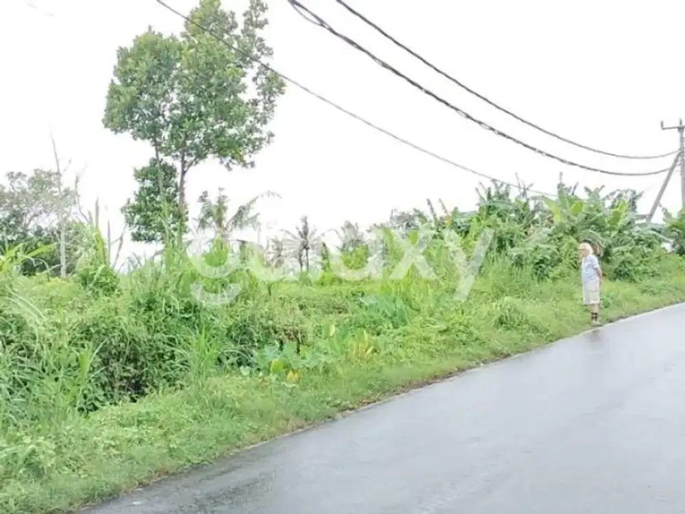 TANAH DEKAT DENGAN BALI SAFARI & TIDAK JAUH  DARI  PANTAI MASCETI MEDAHAN BLAHBATUH GIANYAR, BALI