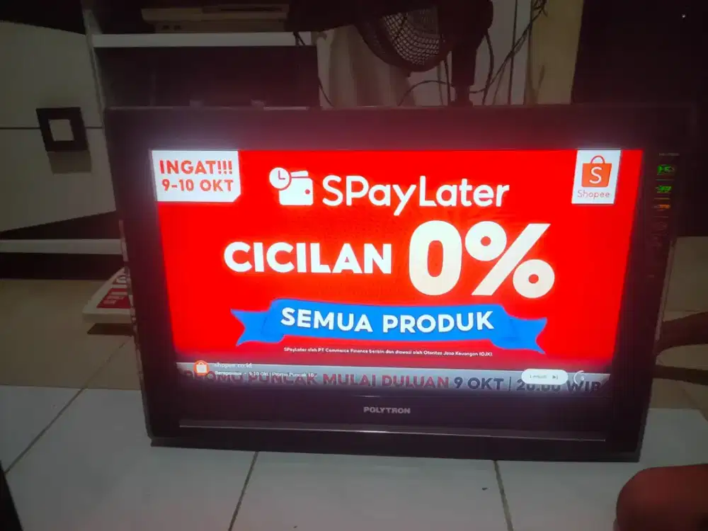 LED Politron 24 INCHI